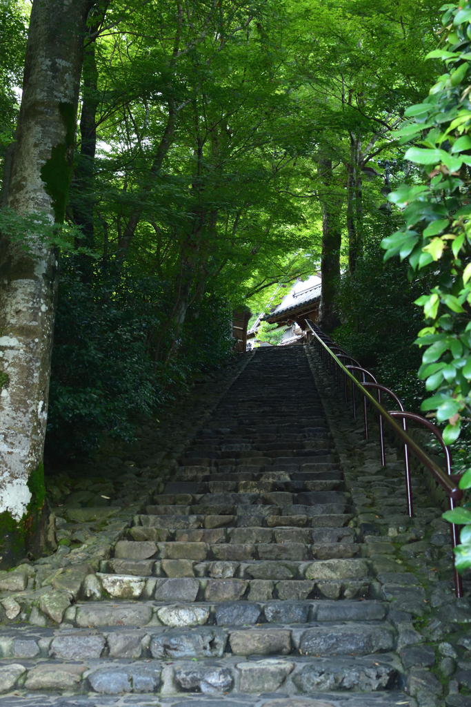 鈴虫寺石段