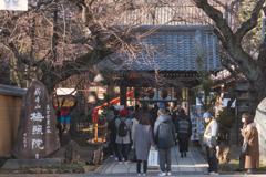 神頼みは人気のご様子