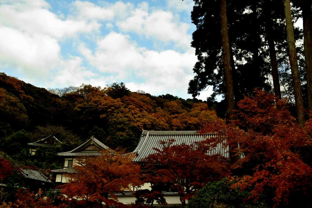 秋色に包まれて