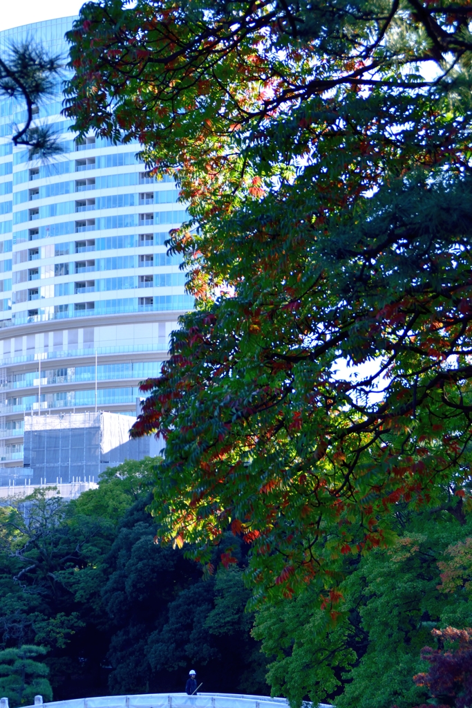 汐留のビルを背景に