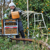 harvest