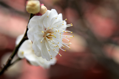 今年の横顔