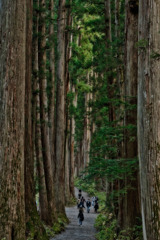 暮れなずむ参拝の帰り道