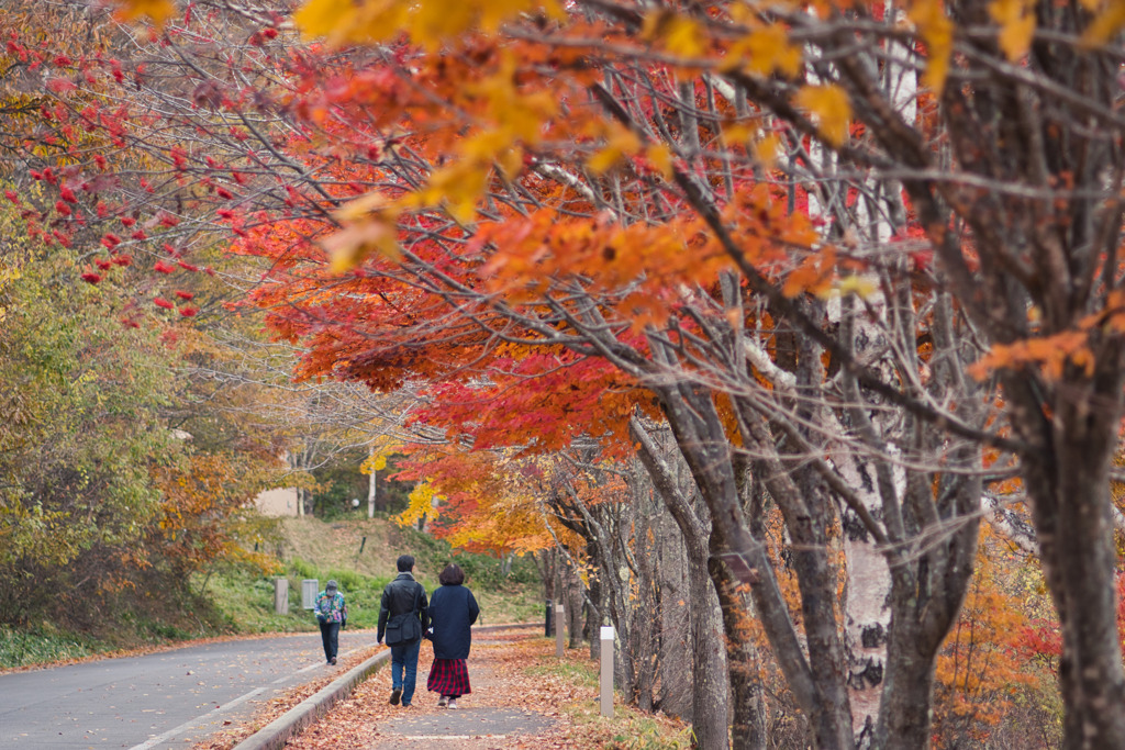 湖畔の遊歩道