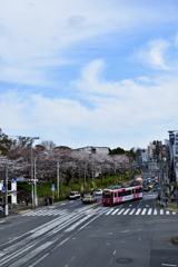 路面電車と飛鳥山