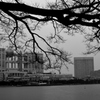 海浜公園冷たい雨に濡れて