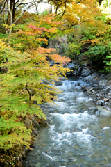 せせらぎと紅葉