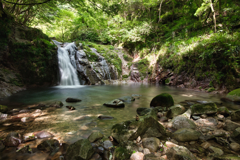 stream