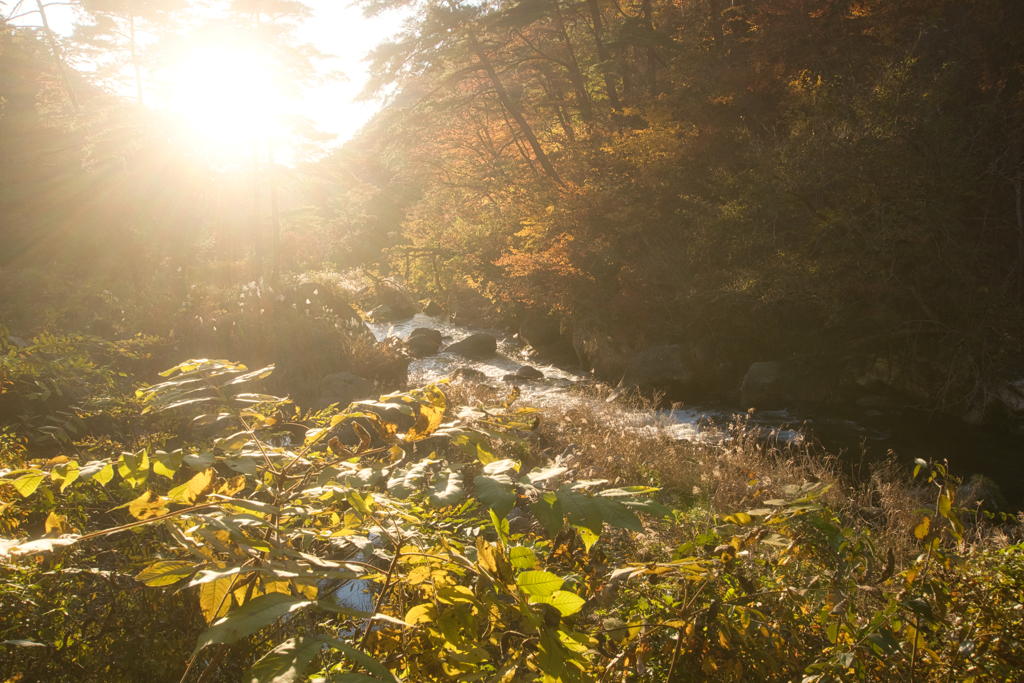 autumn moments