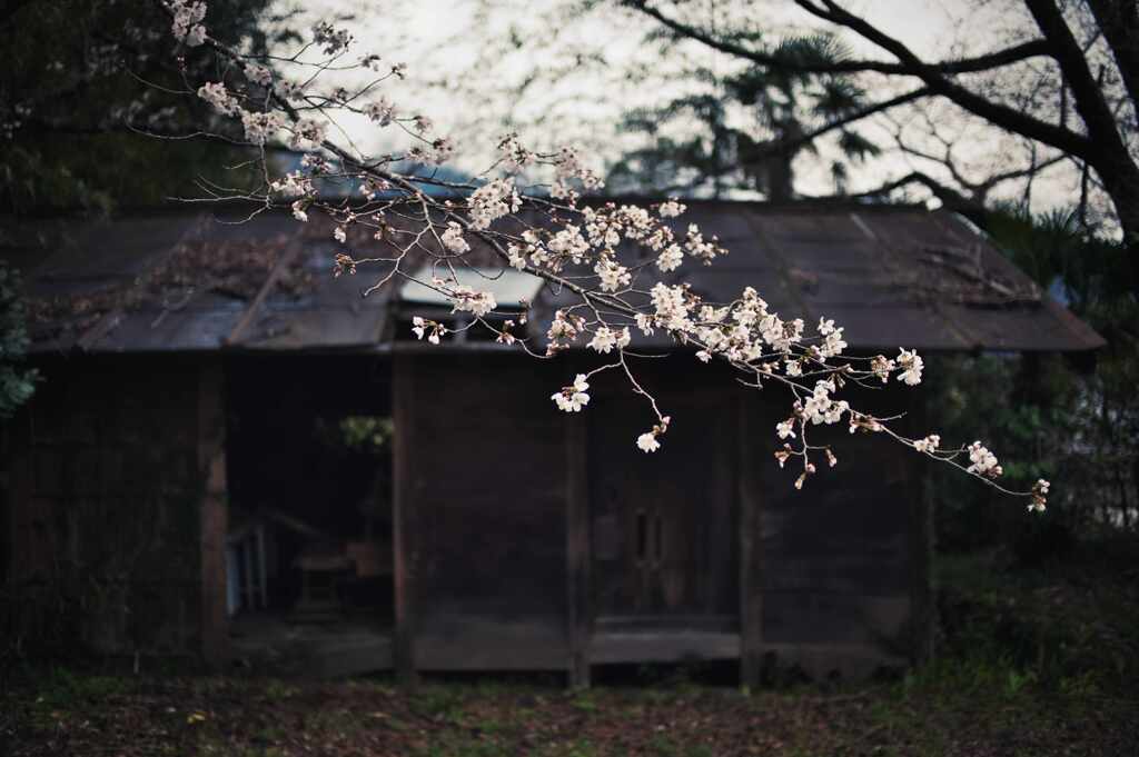 花添えて