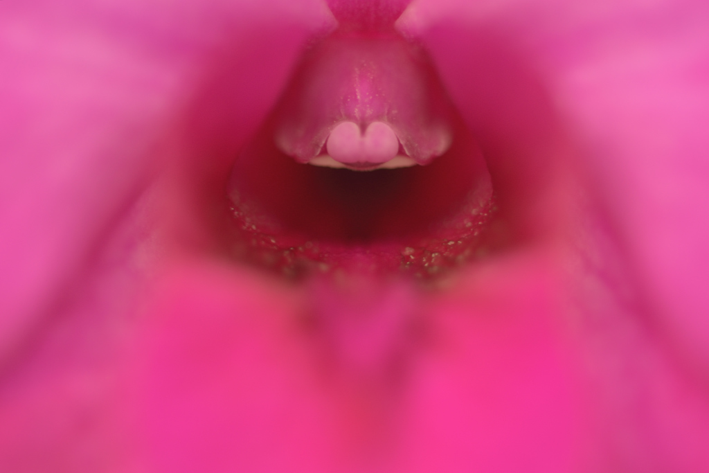 蘭漫5