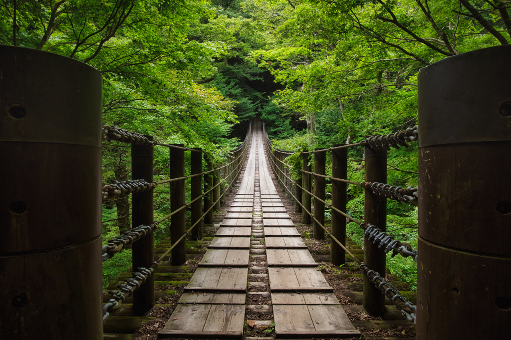 Arch of Green