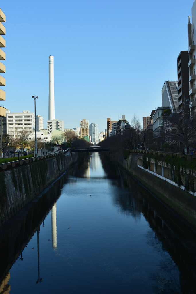 開花前