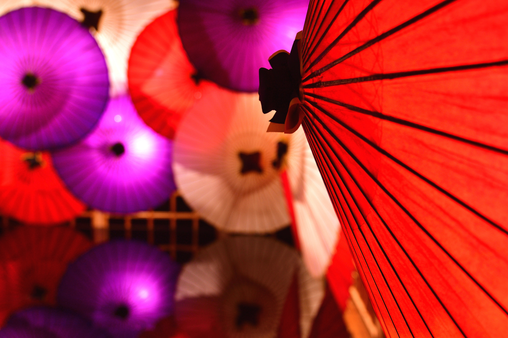 和傘の横顔
