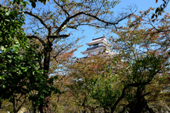 桜木の向こうの鶴ヶ城