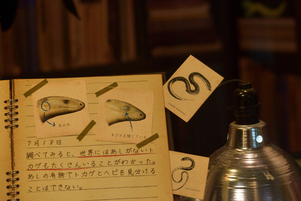 足がないからといって