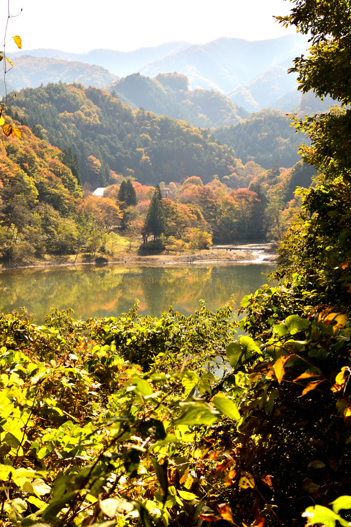 茂みより湖に流れ込む川（タイトル変更）