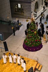 ツリーに集まる人々