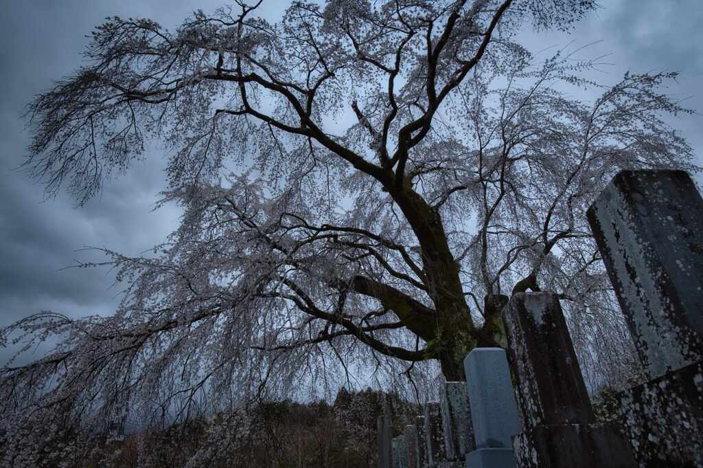 幽華