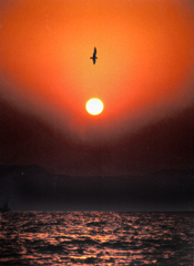 夜明けの海