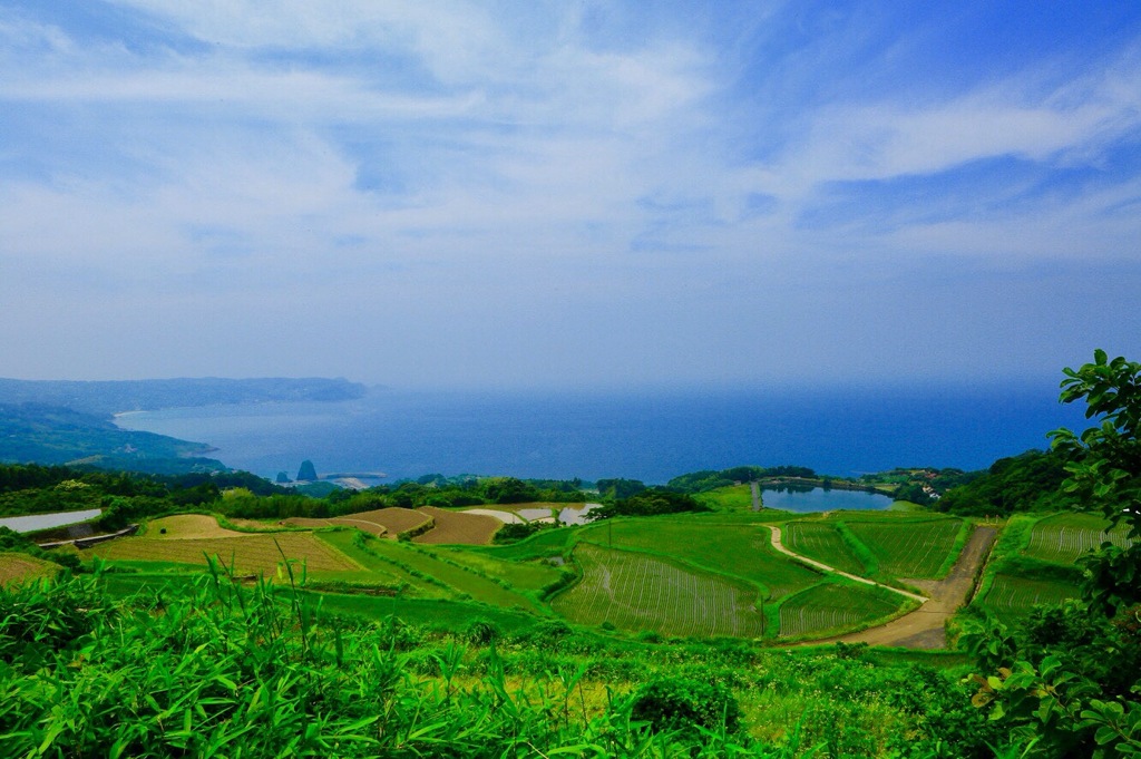 海の見える棚田