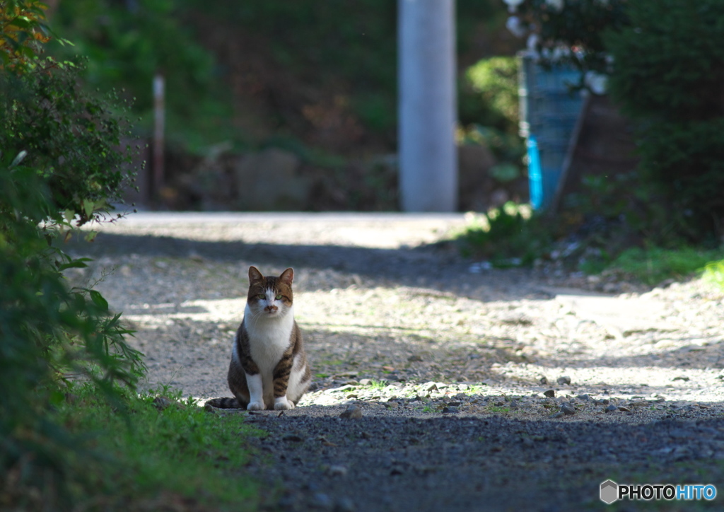 早く来なさいよ！