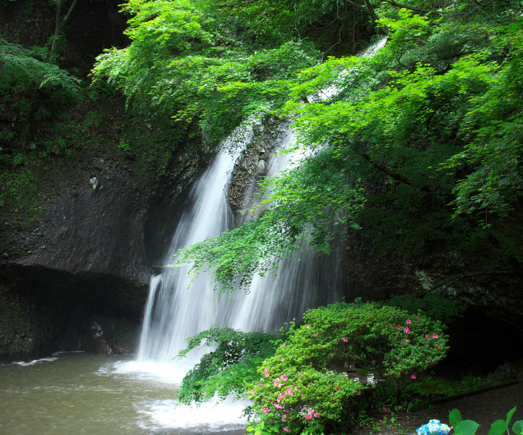 爽涼な刻