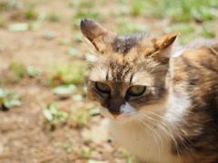 ムッ・・・