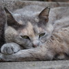別に怒ってないのよ。