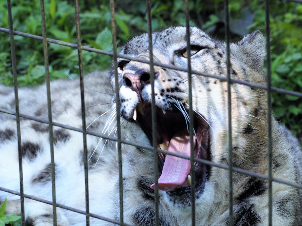 んあーーーーーー