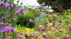 六月の花園