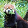 あざといんだよなぁ・・・可愛い（可愛い）