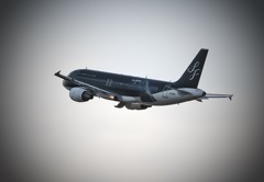スターフライヤー機シン・ゴジラバージョン