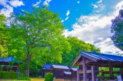 夏の訪れ