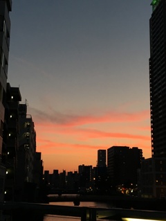 夕焼