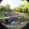 鶴見緑地公園のせせらぎの広場？