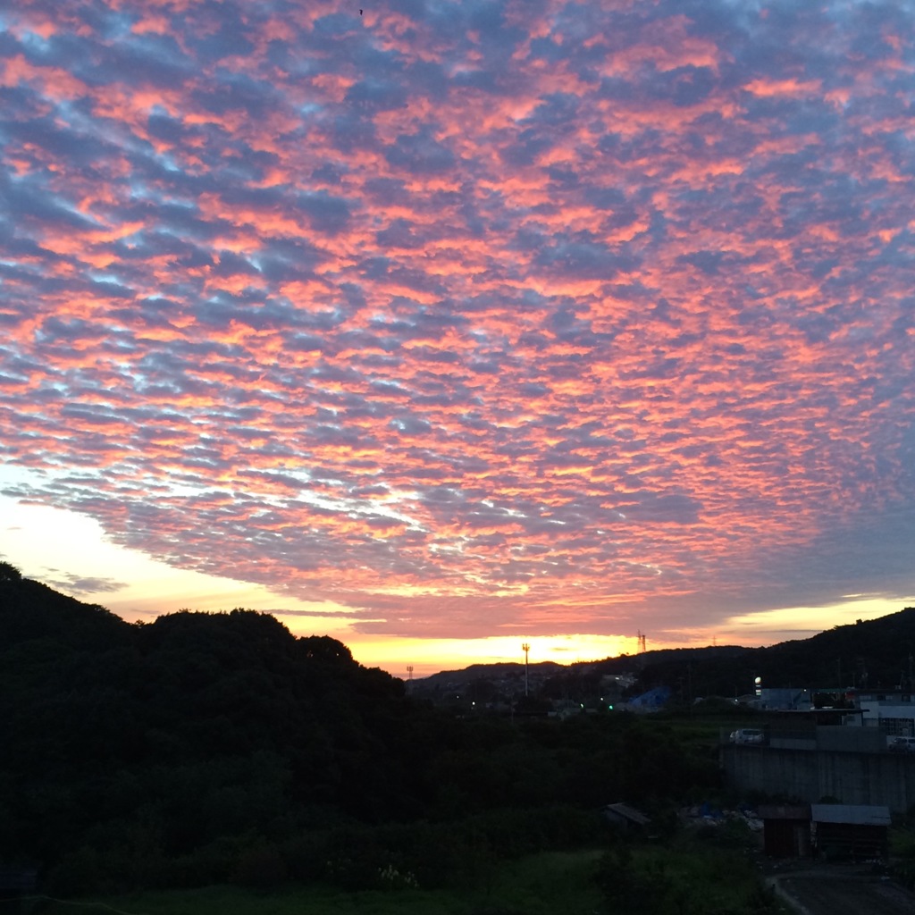 朝焼け