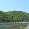 嵐山渡月橋 (2)