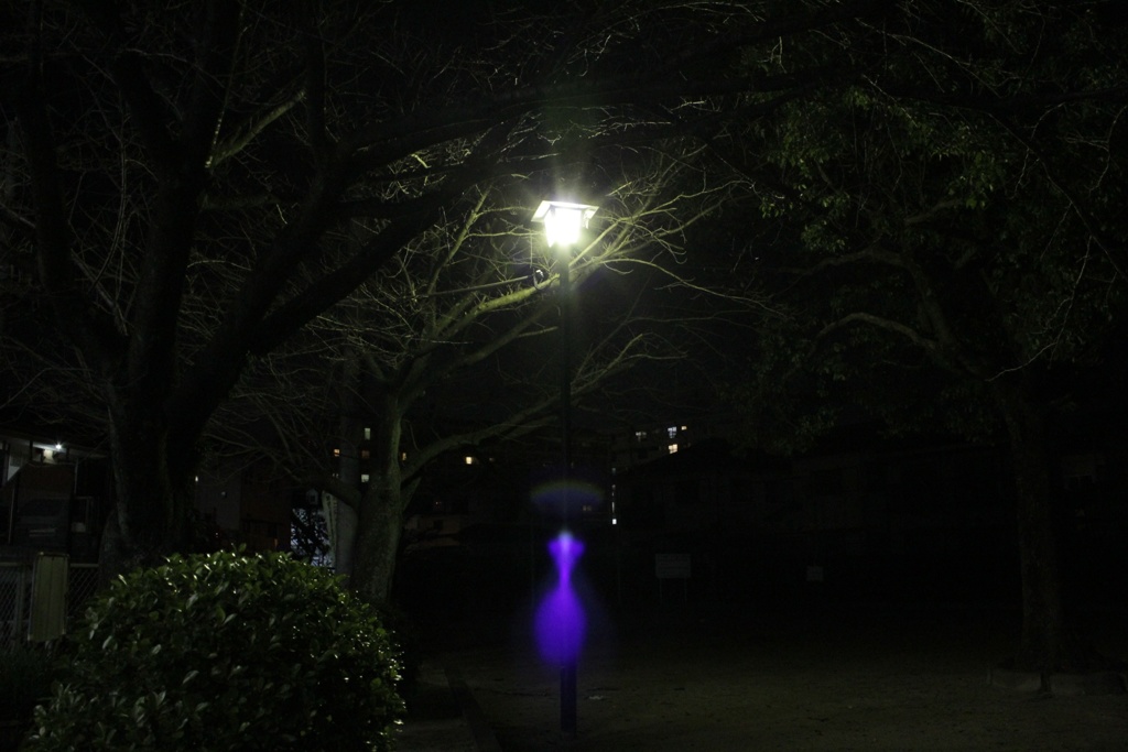 11月29日