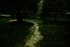 霞城公園　６