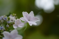 君へと続く、道だと信じる。