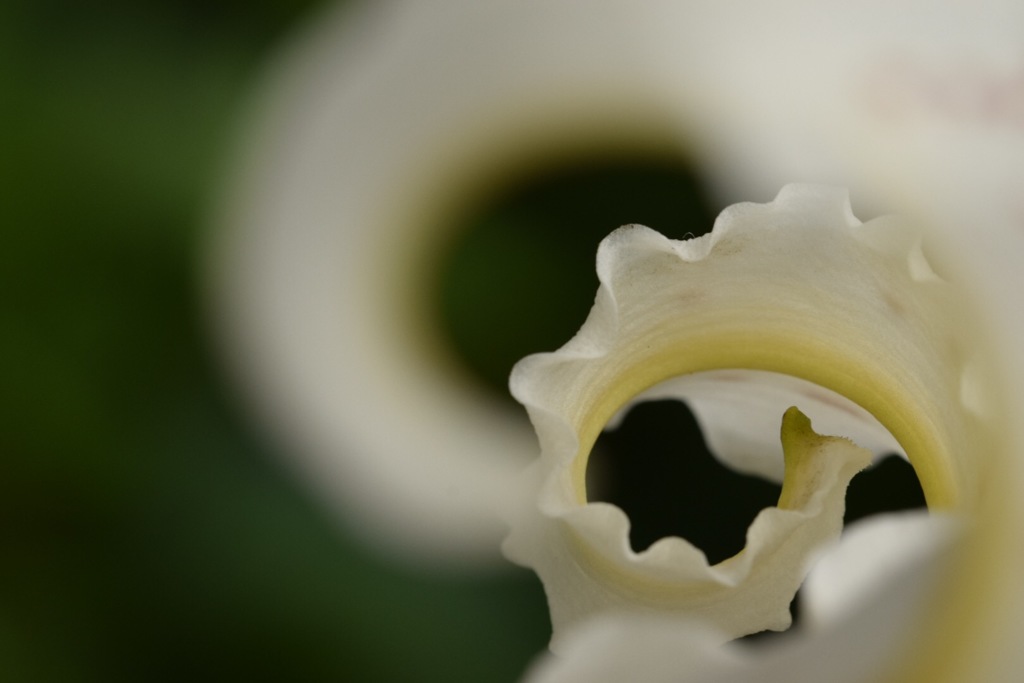 向こう側の君。