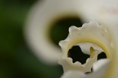 向こう側の君。