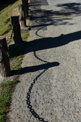 手、つないで♪