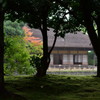 秋さがし　Ⅸ
