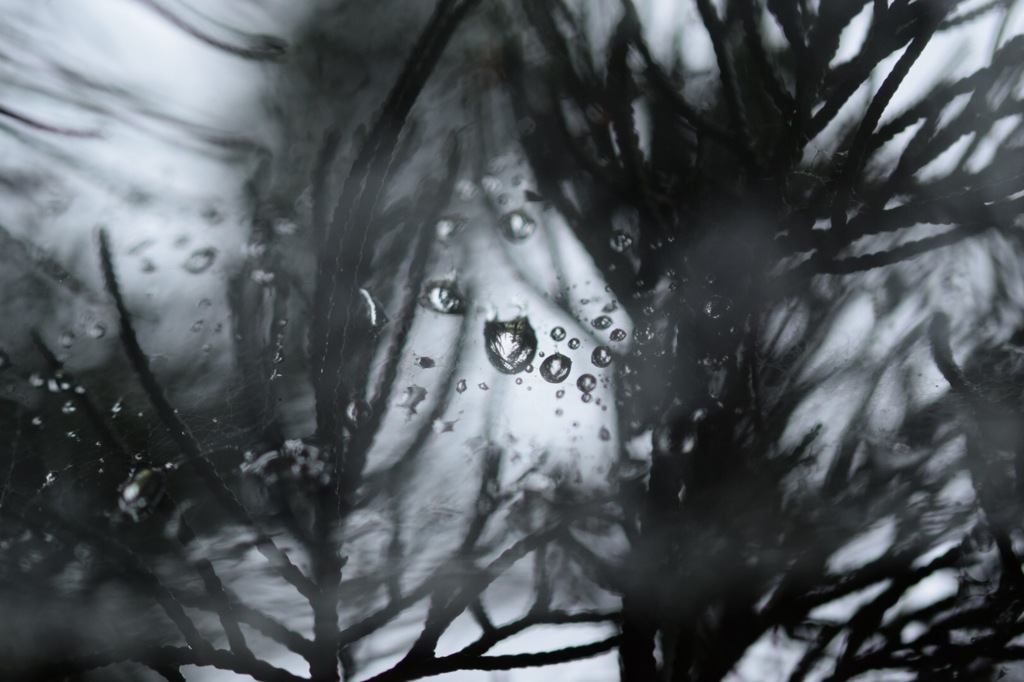 荒波じゃない人生なんて!