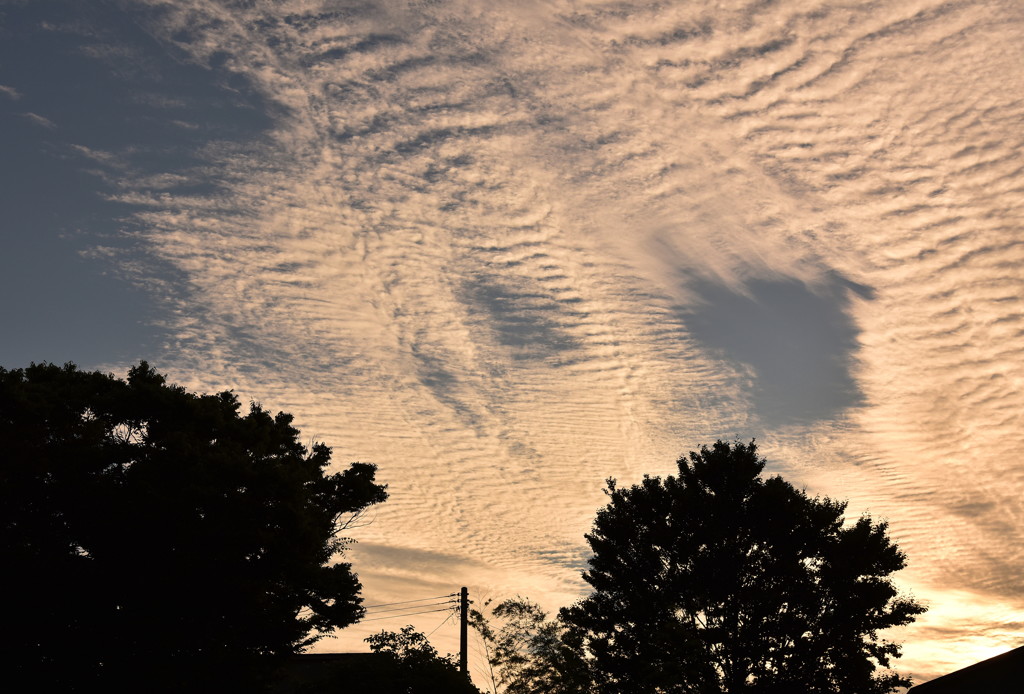 今年一番の夏空…かなぁ。