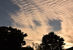 今年一番の夏空…かなぁ。