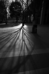 寒くてつめたい！