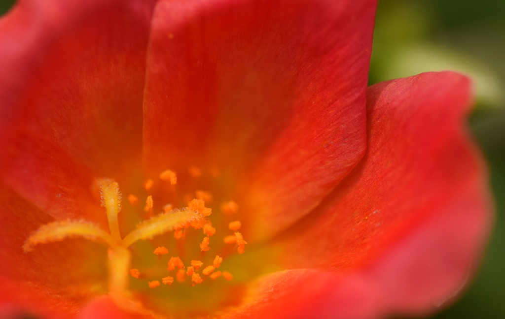 ポジティブな情熱!